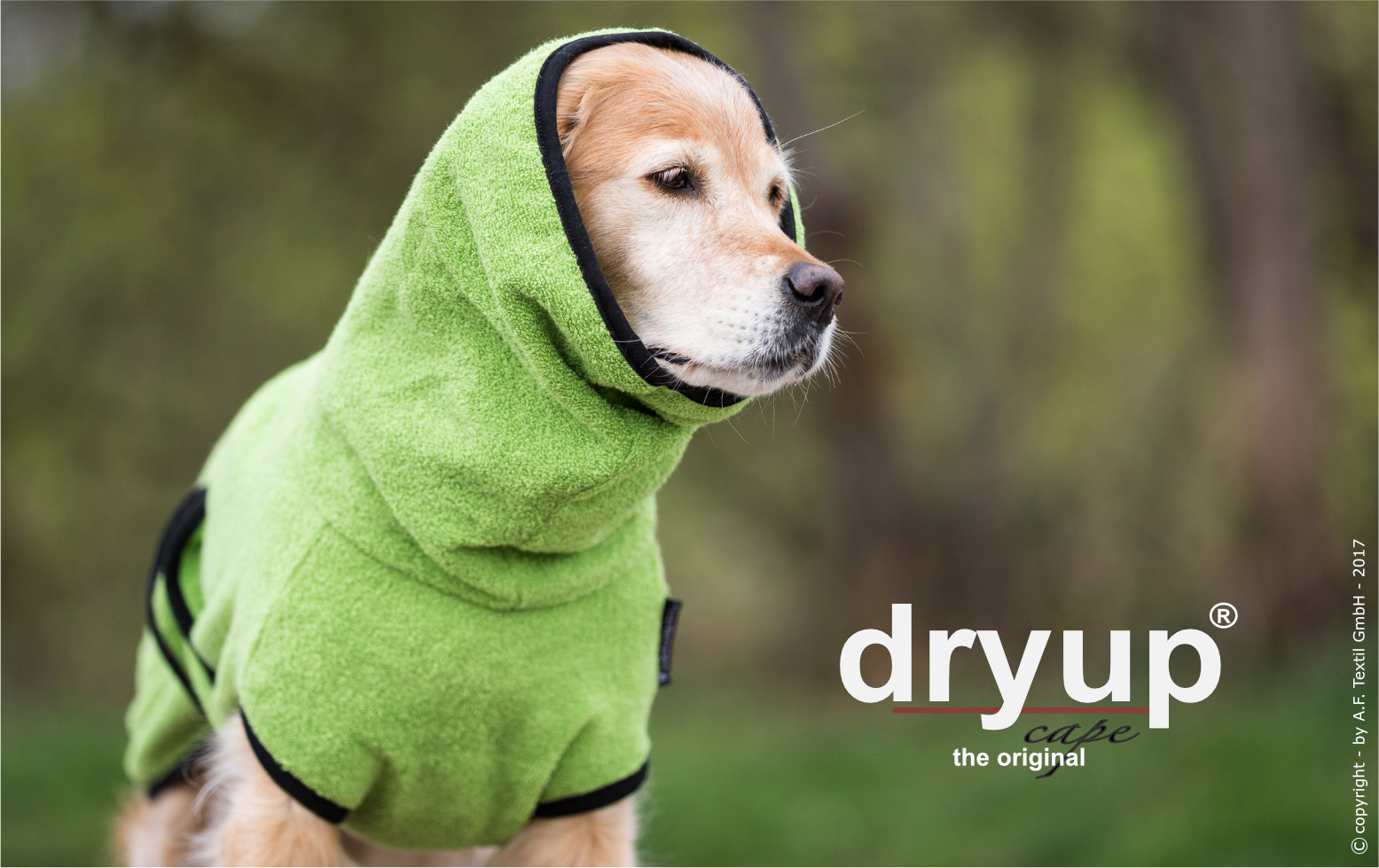 Dryup cape kiwi