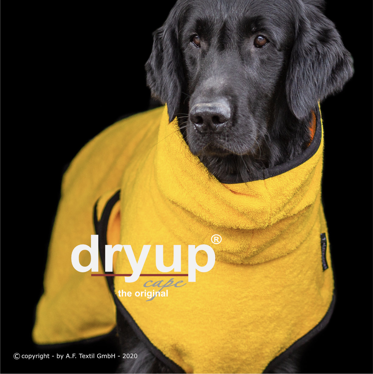 DRYUP cape YELLOW Limited Edition