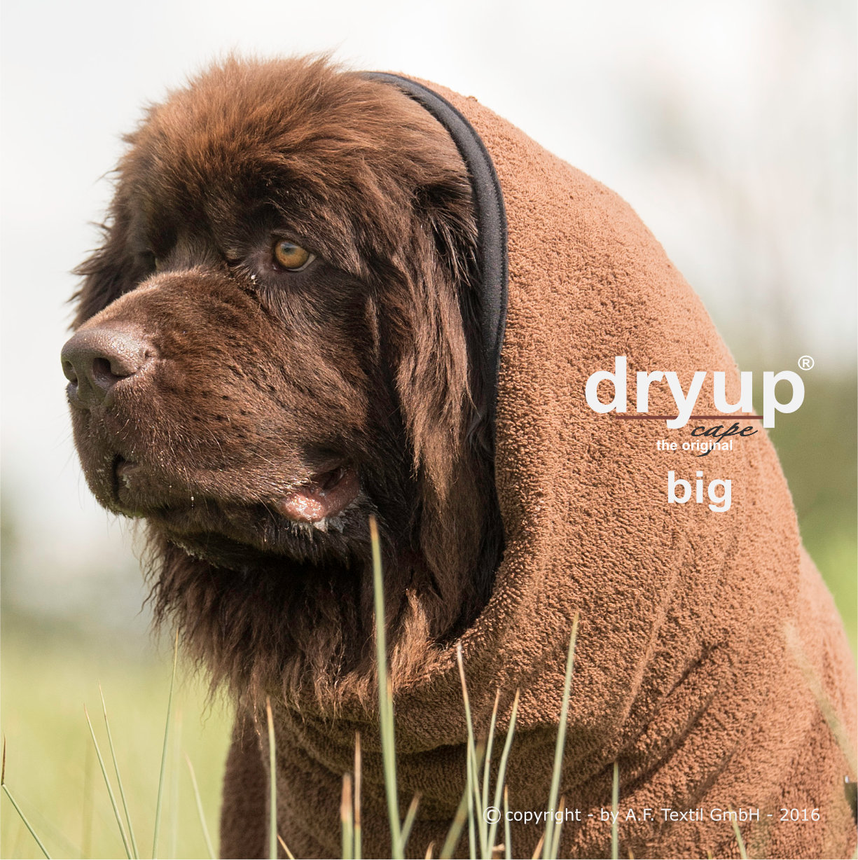 Dryup® cape braun Big