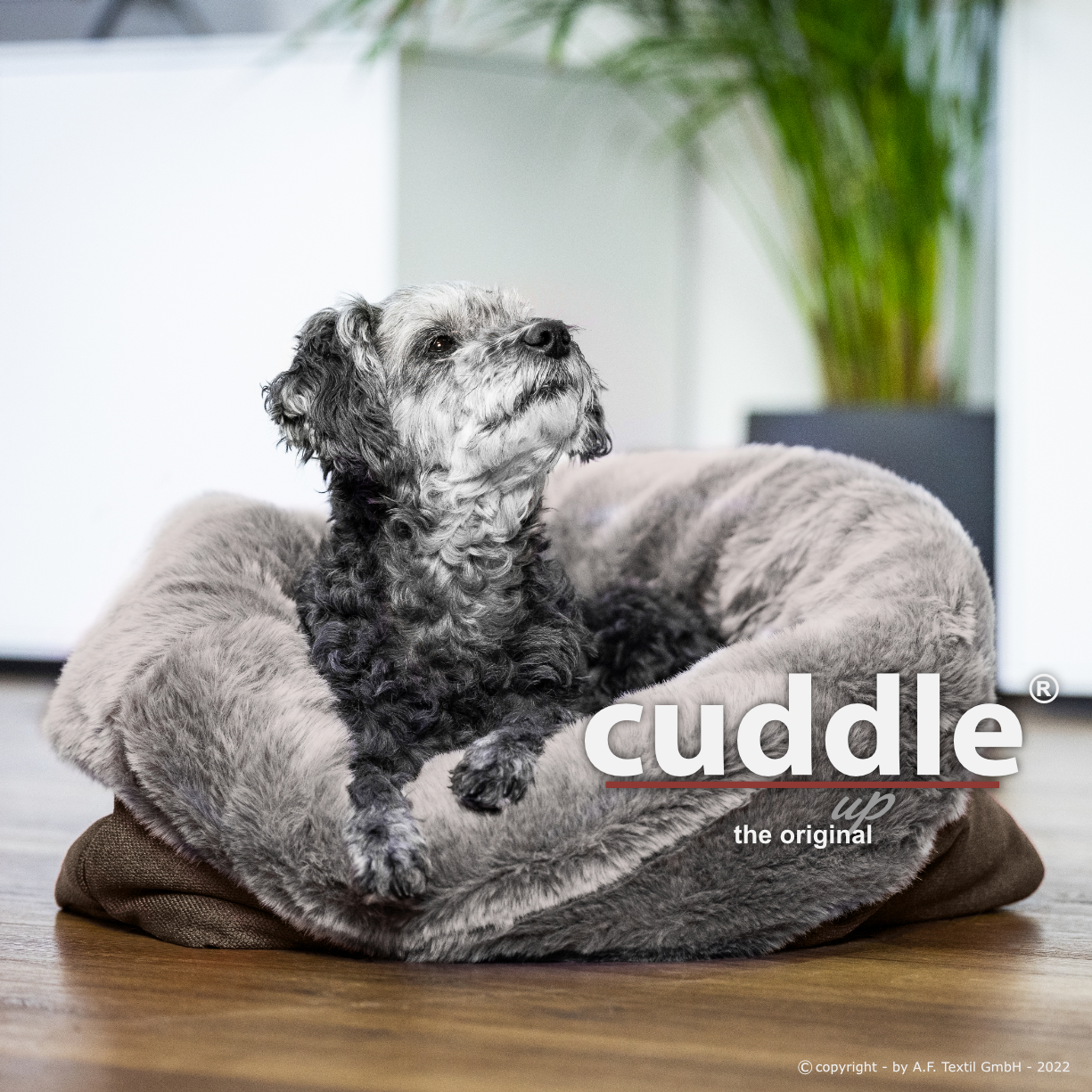 Cuddle Up® - Taupe - Limited Edition