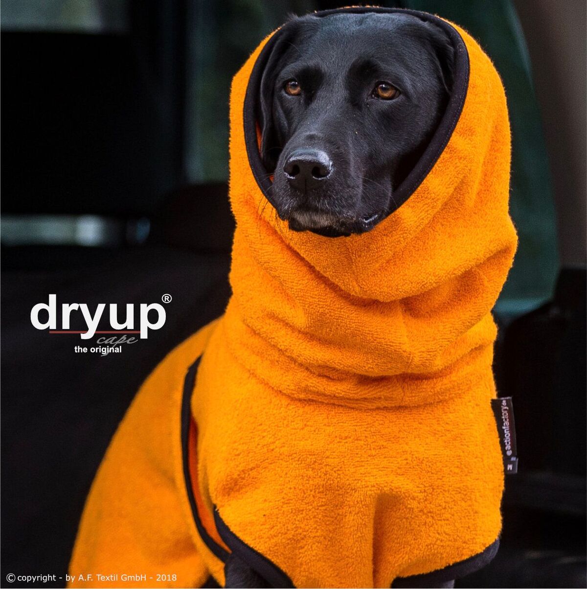 Dryup® cape clementine