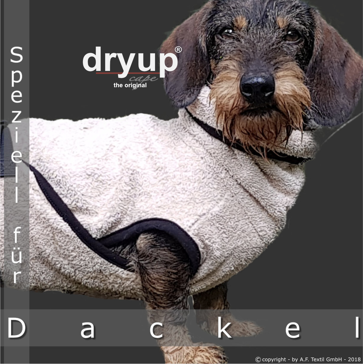 Dryup cape  sand Dackel