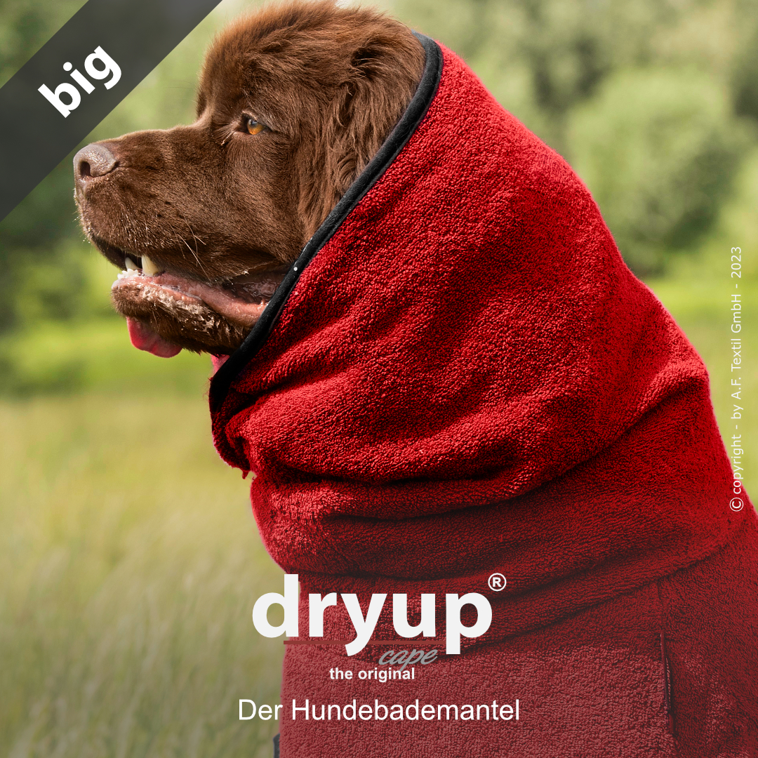 Dryup® cape red pepper Big 