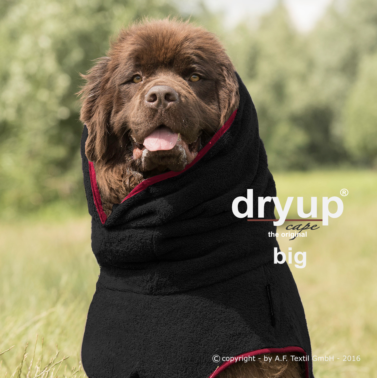 Dryup® cape black Big