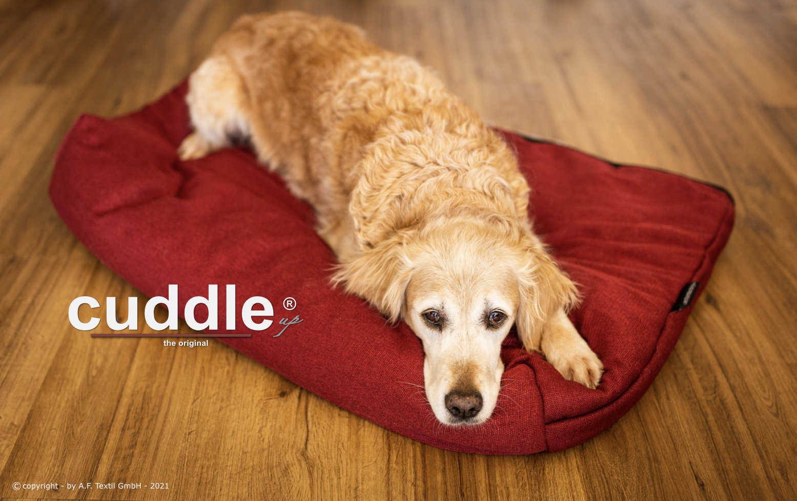 Cuddle Up - Hundebett