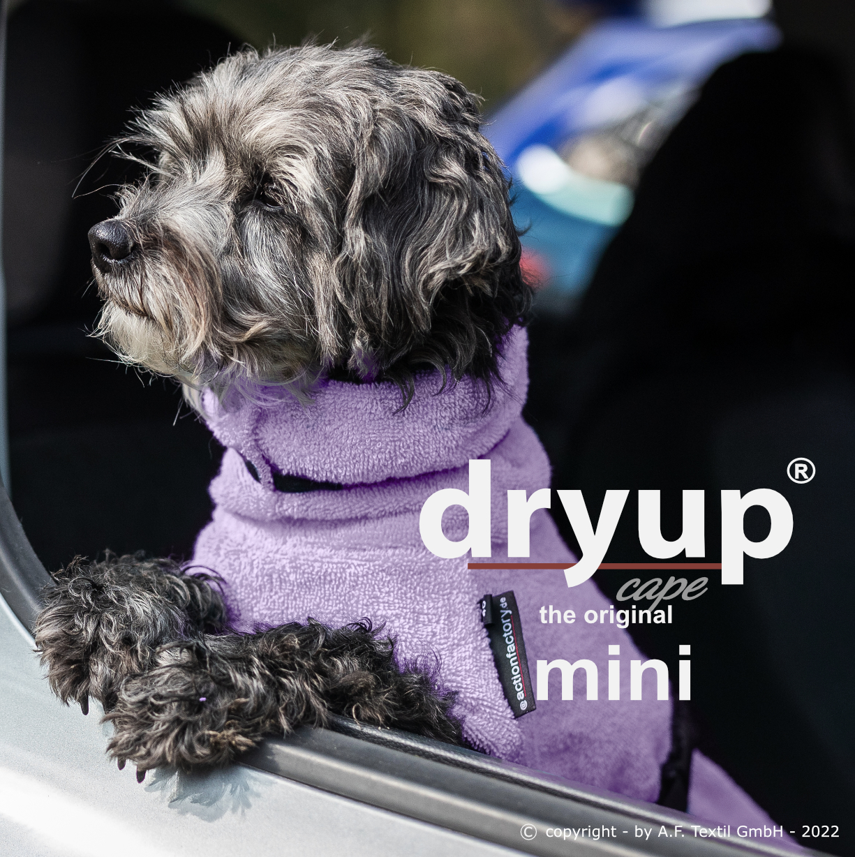 Dryup cape lavendel Mini - Limited Edition