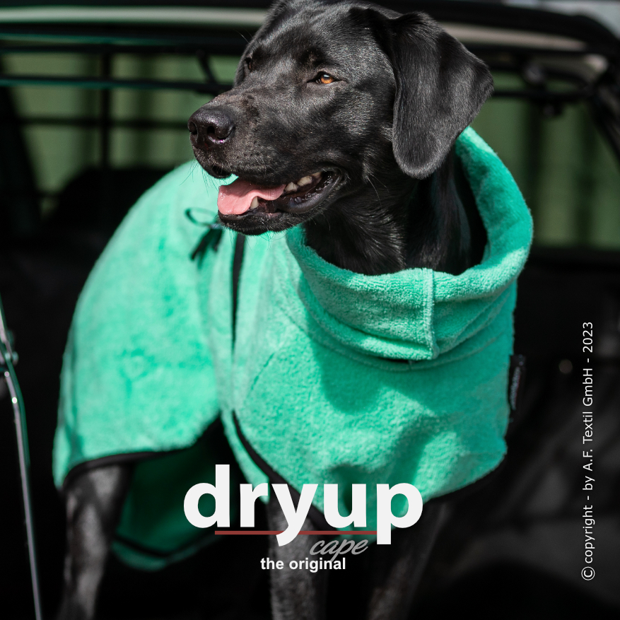 Dryup® cape mint - Limited Edition
