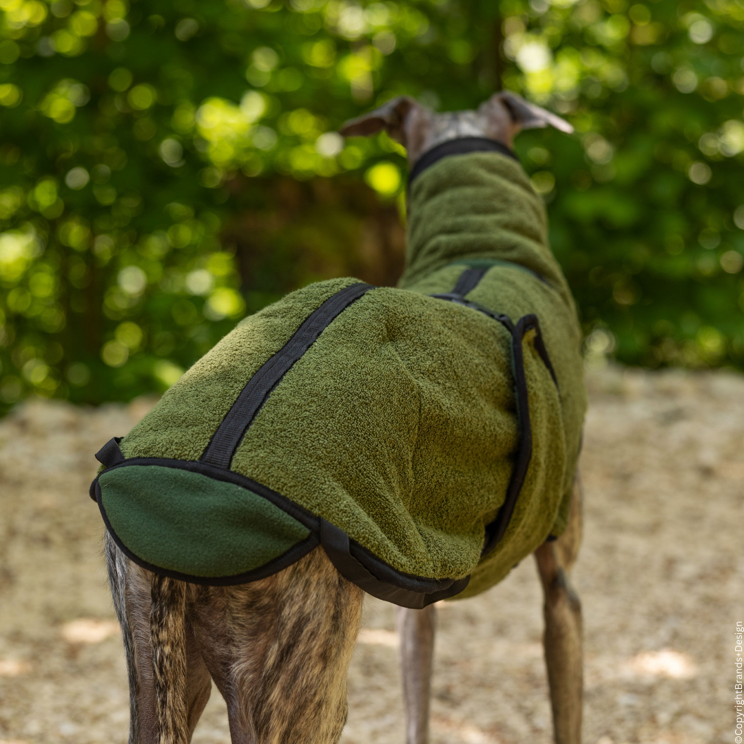 Warmup© cape pro Windhund pine green
