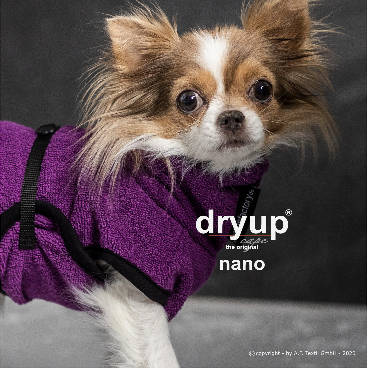 Dryup® cape bilberry Nano