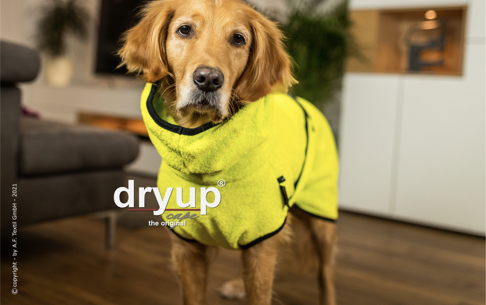 Dryup cape lime - Limited Edition
