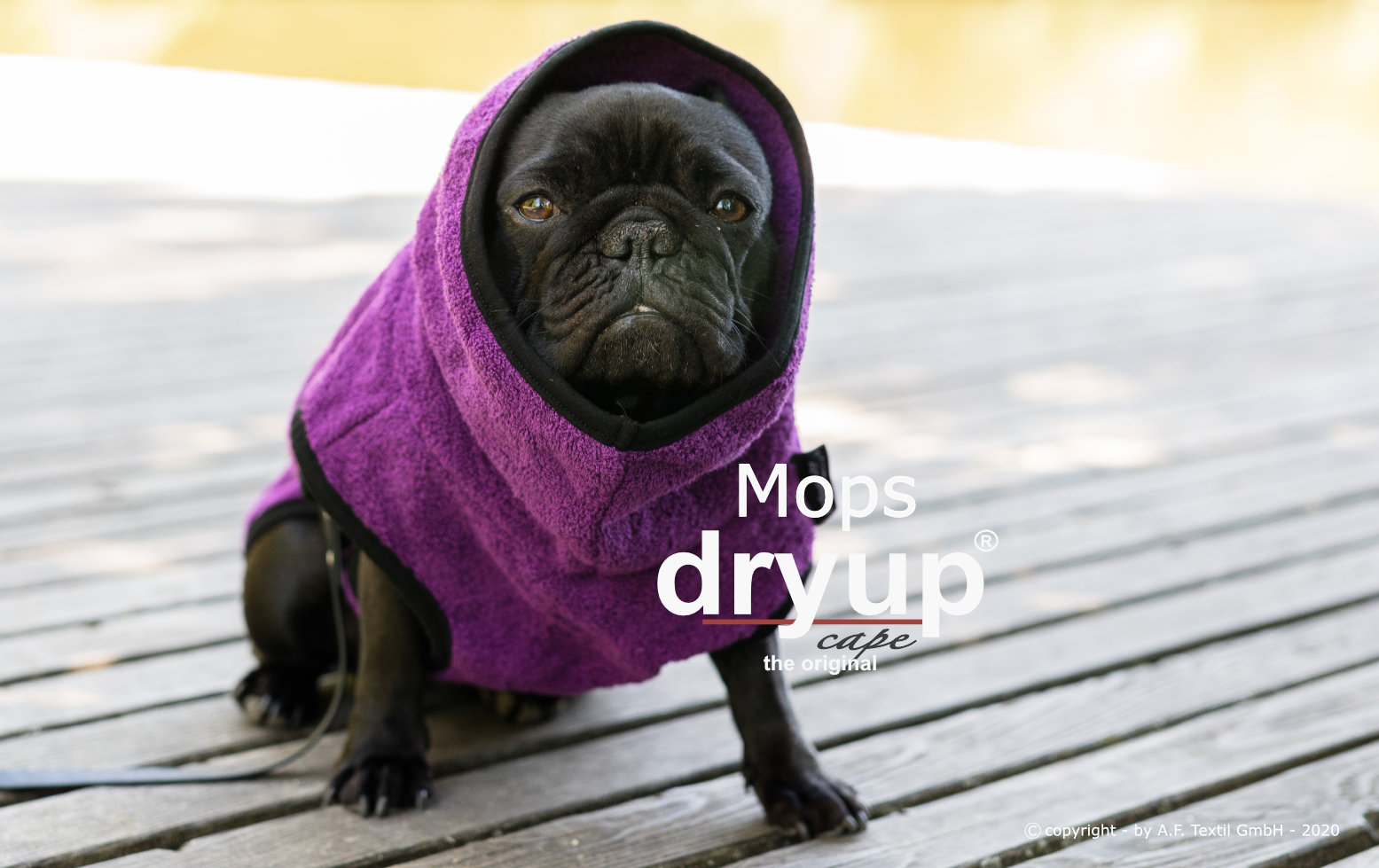 Dryup® cape bilberry Mops & Co.