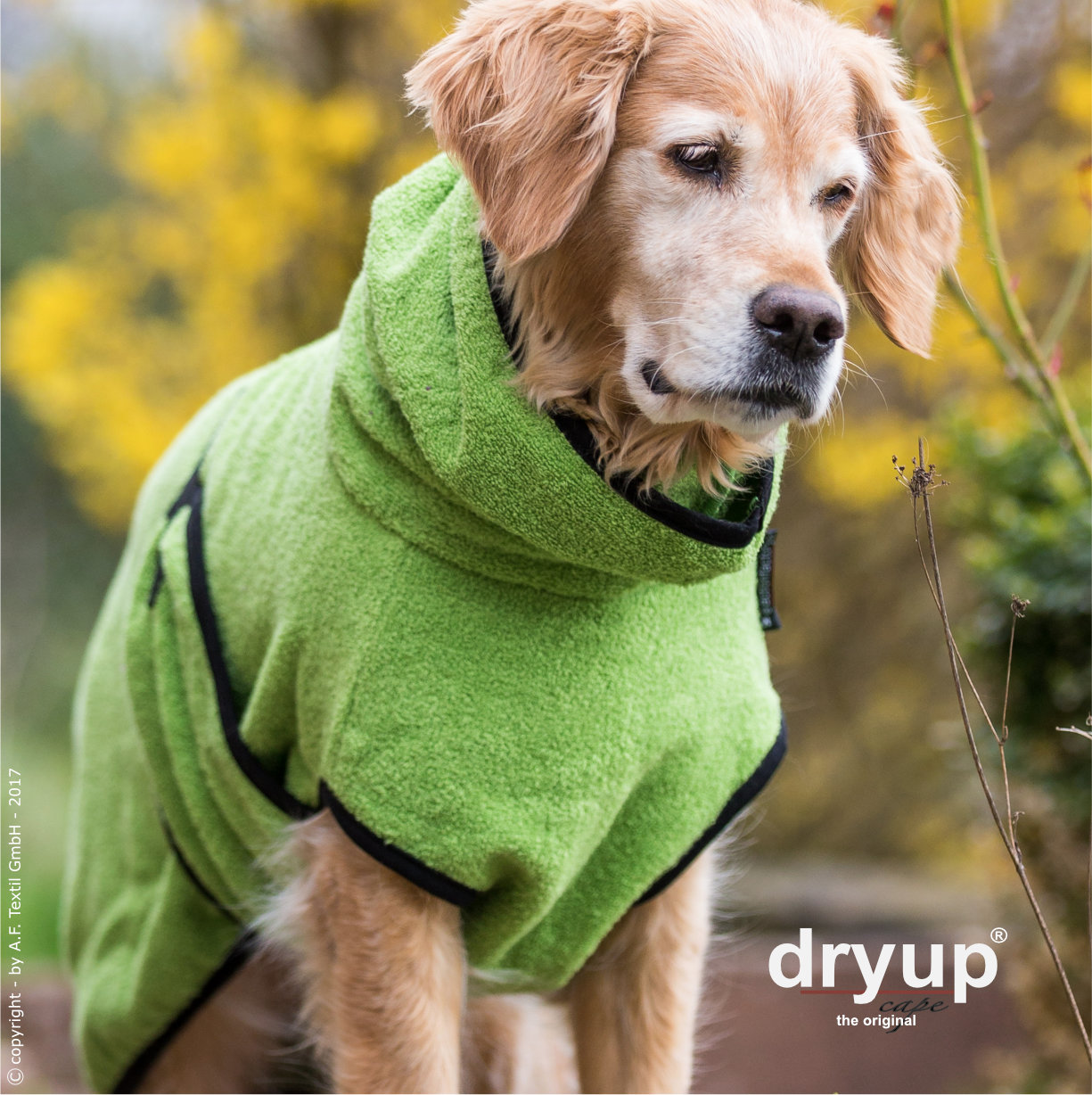 Dryup® cape kiwi