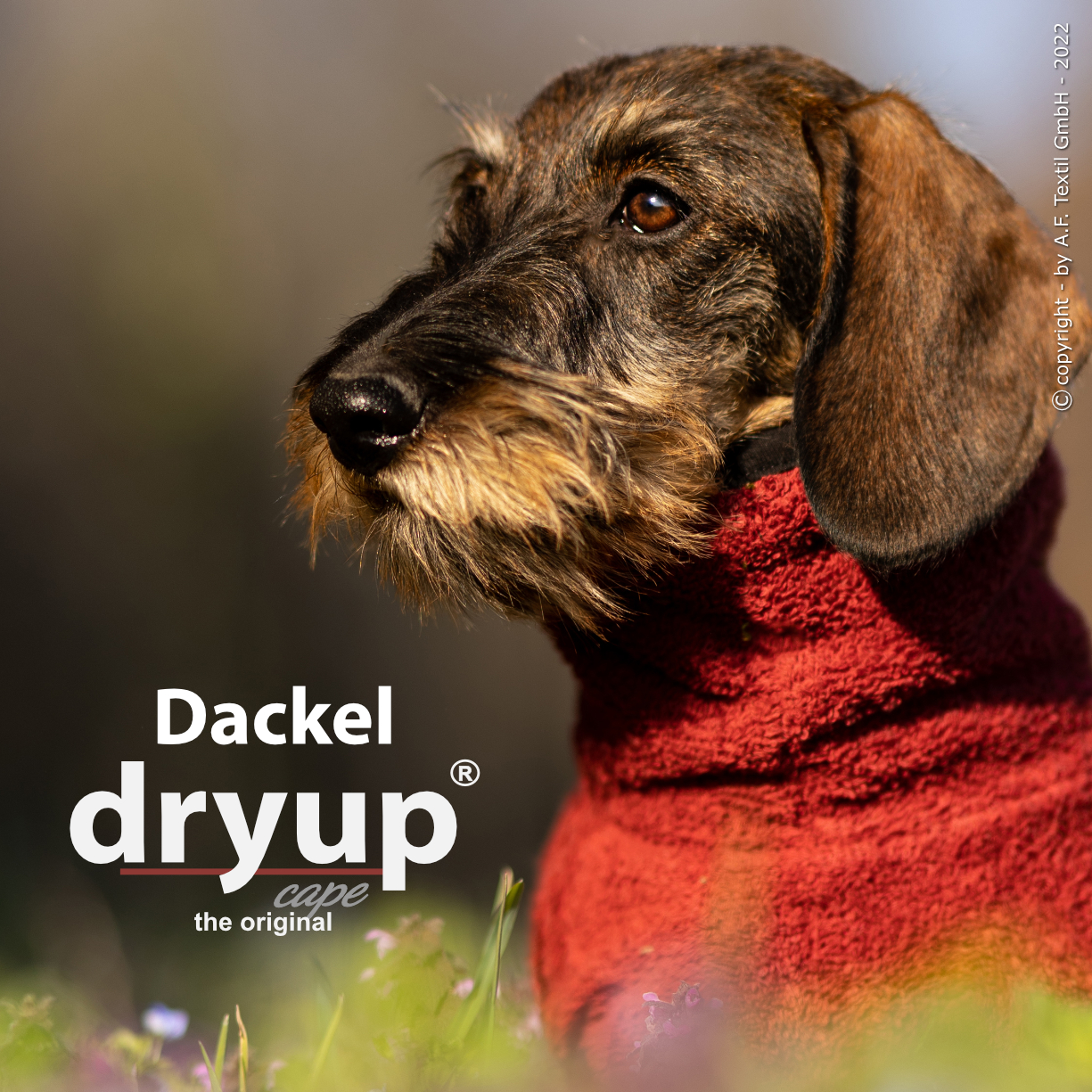 Dryup® cape bordeaux  Dackel