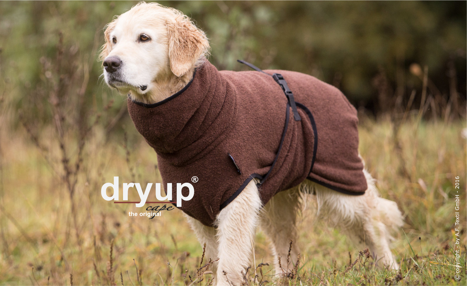 Dryup cape braun