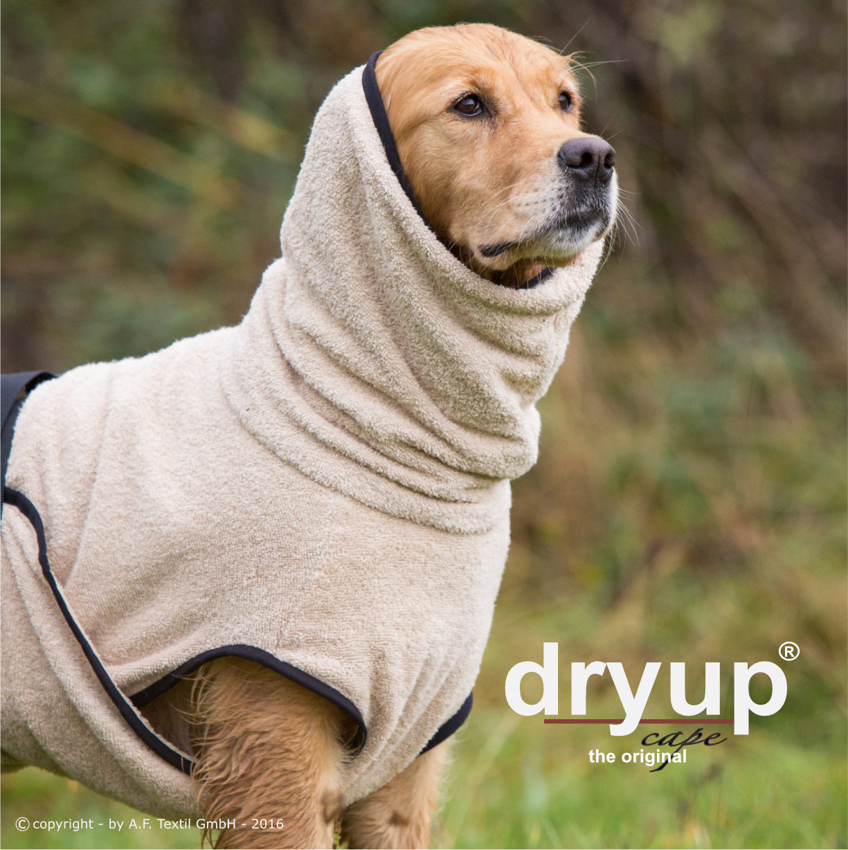 Dryup® cape sand