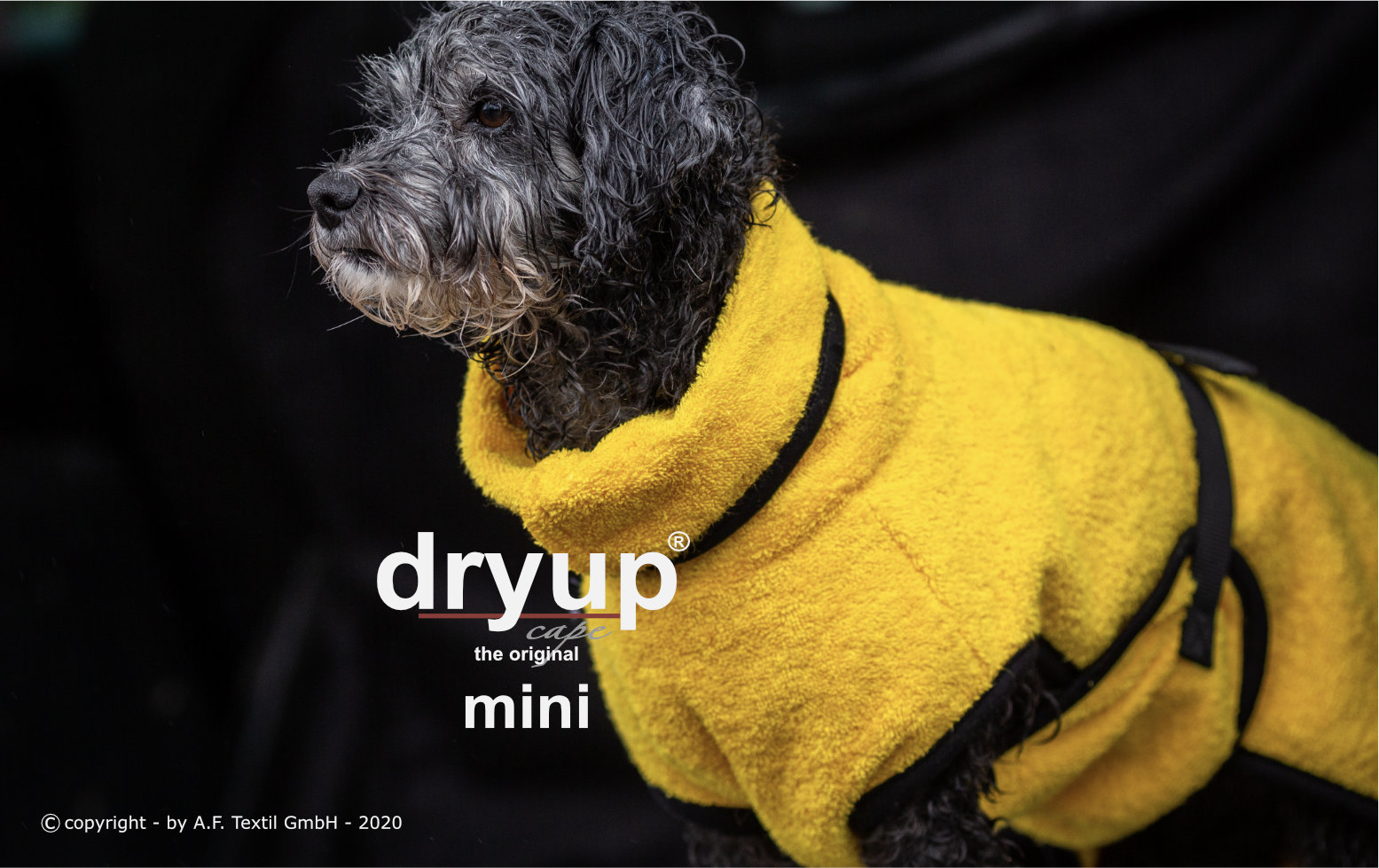 Dryup® cape yellow Mini - Limited Edition
