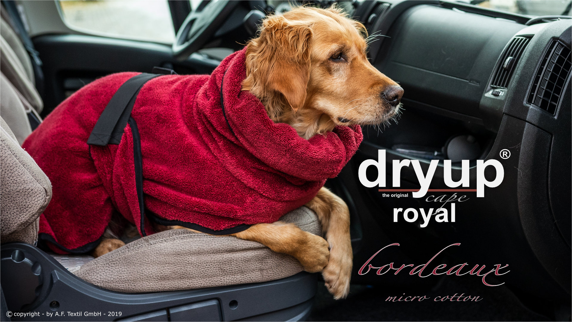 Dryup® cape Royal micro cotton bordeaux