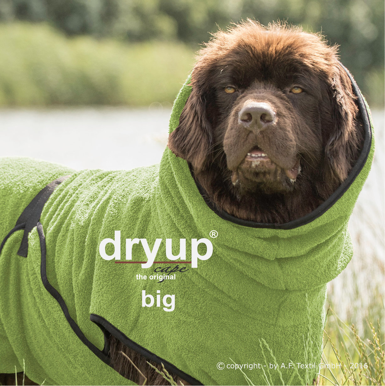 Dryup® cape kiwi Big