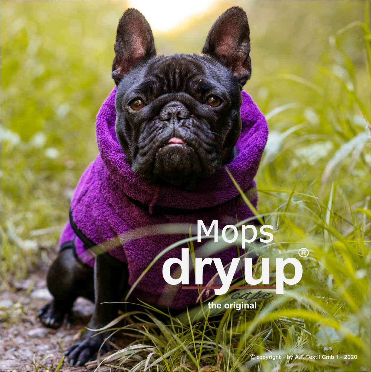 Dryup® cape bilberry Mops & Co.