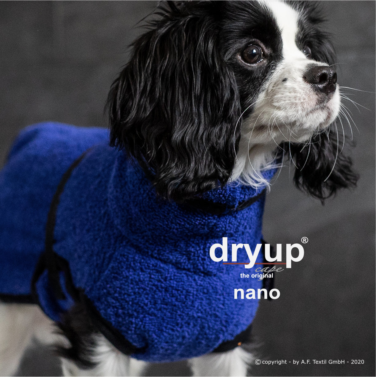 Dryup® cape blueberry Nano